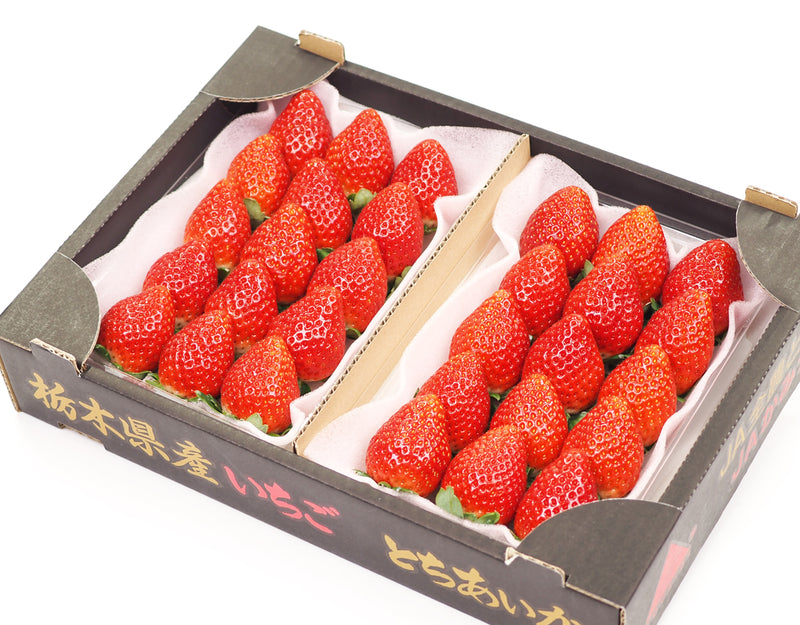 栃木県産 とちおとめ苺（もしくは、とちあいか苺） 1箱 約330g×2