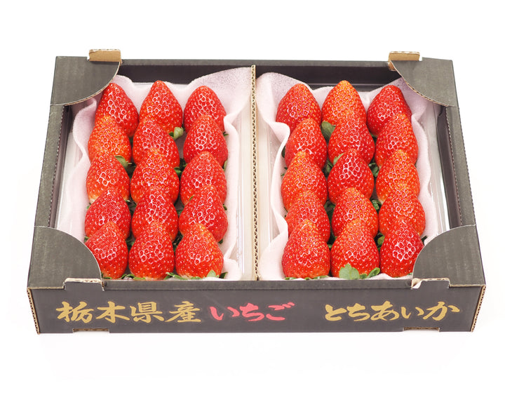 栃木県産 とちあいか苺（12~15粒）約330g×2