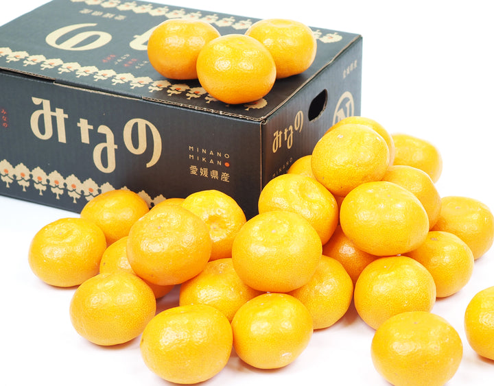 【お歳暮企画】愛媛県産 みなのみかん 約2.6kg