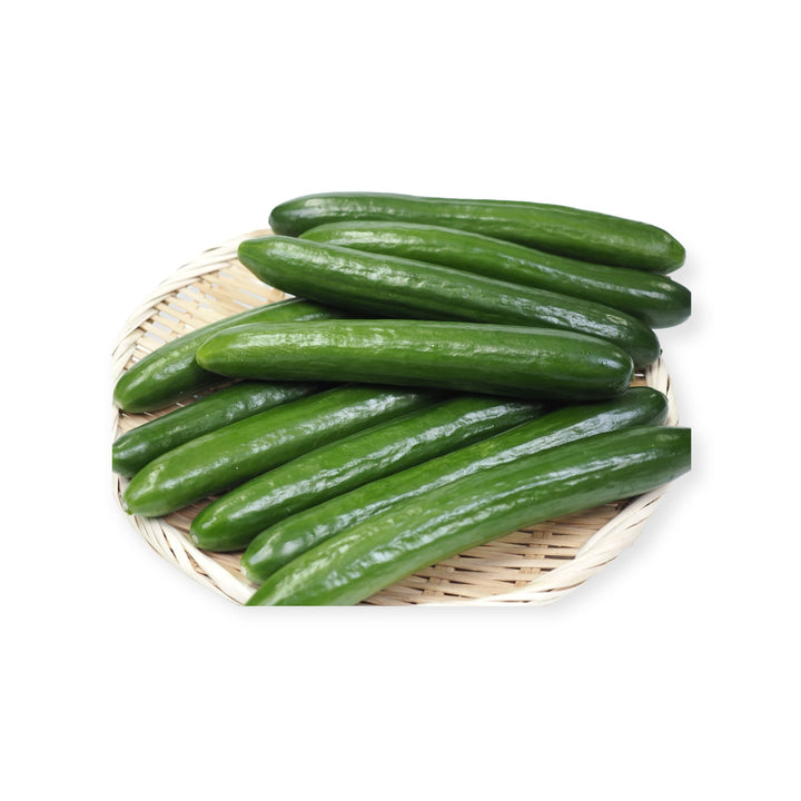 岩手県産他 いぼなし きゅうり フリーダム 10本(約1kg)