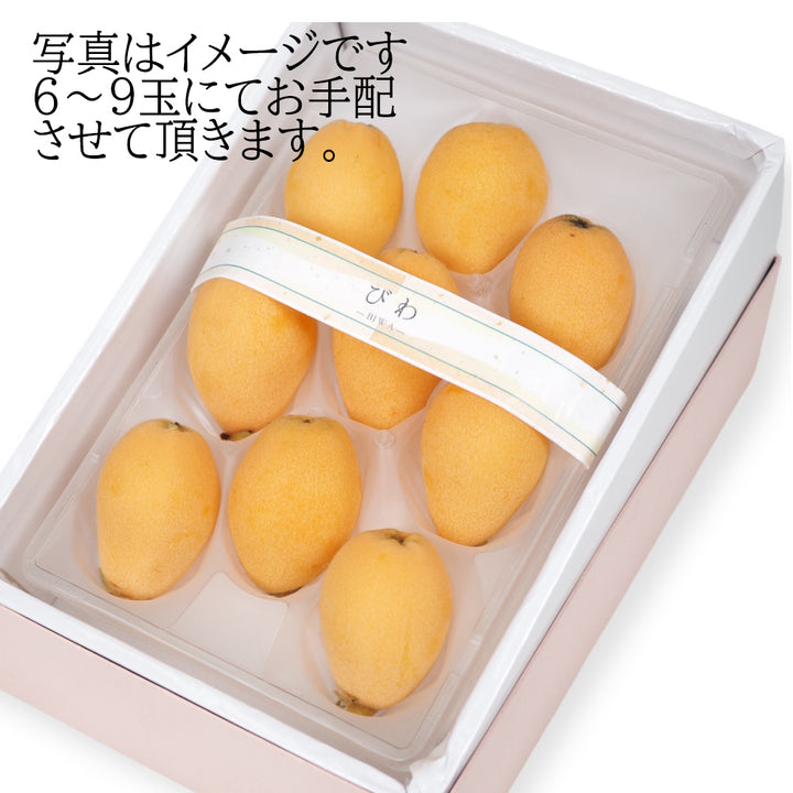 長崎 茂木びわ 秀品 1箱（6玉～9玉） 約280g