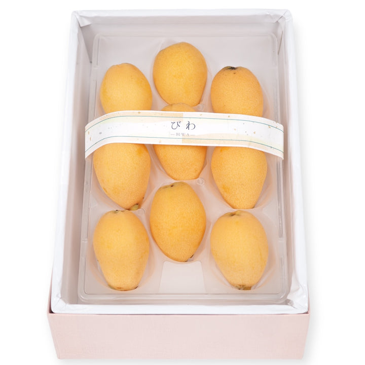 長崎 茂木びわ 秀品 1箱（6玉～9玉） 約280g