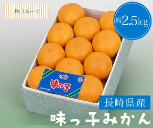 長崎県産 味っ子みかん 化粧箱 21玉～25玉 約2.5kg