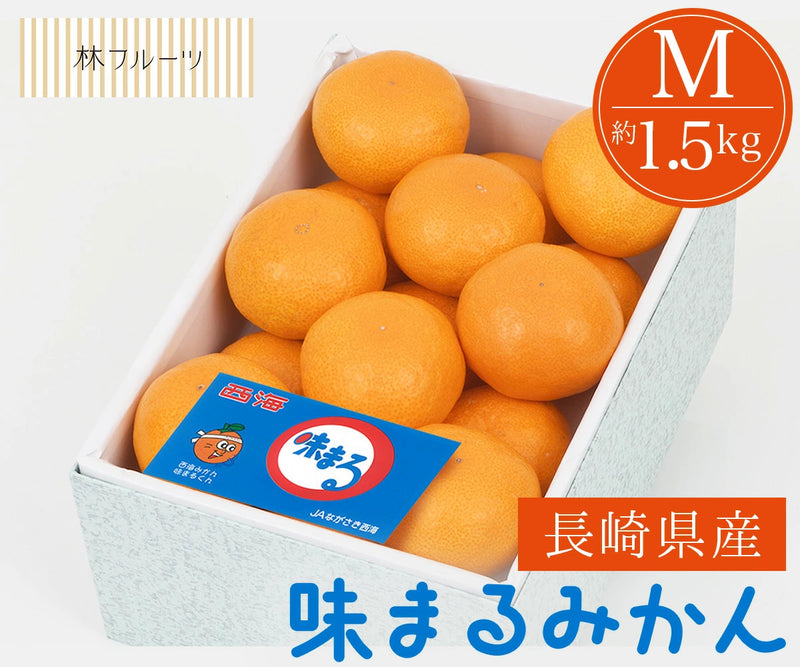 長崎県産 味まるみかん Mサイズ 化粧箱 15玉 約1.5kg