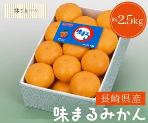 長崎県産 味まるみかん 化粧箱 21玉～25玉 約2.5kg