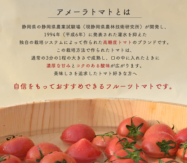 アメーラトマト 3Ｓサイズ 約1kg　林フルーツ