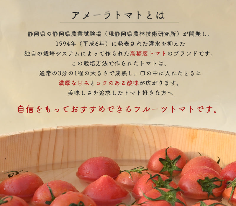 アメーラトマト Mサイズ 約1kg　林フルーツ