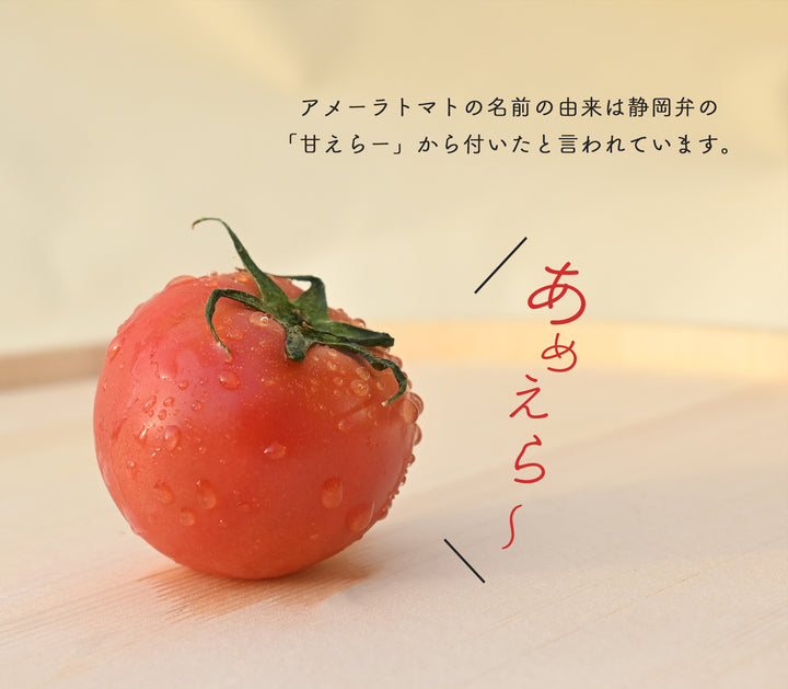 ame-ra_3_720x.jpg?v=1706843820