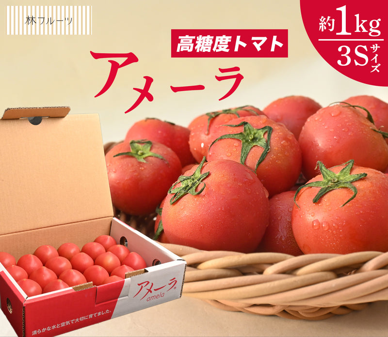 アメーラトマト 3Ｓサイズ 約1kg　林フルーツ