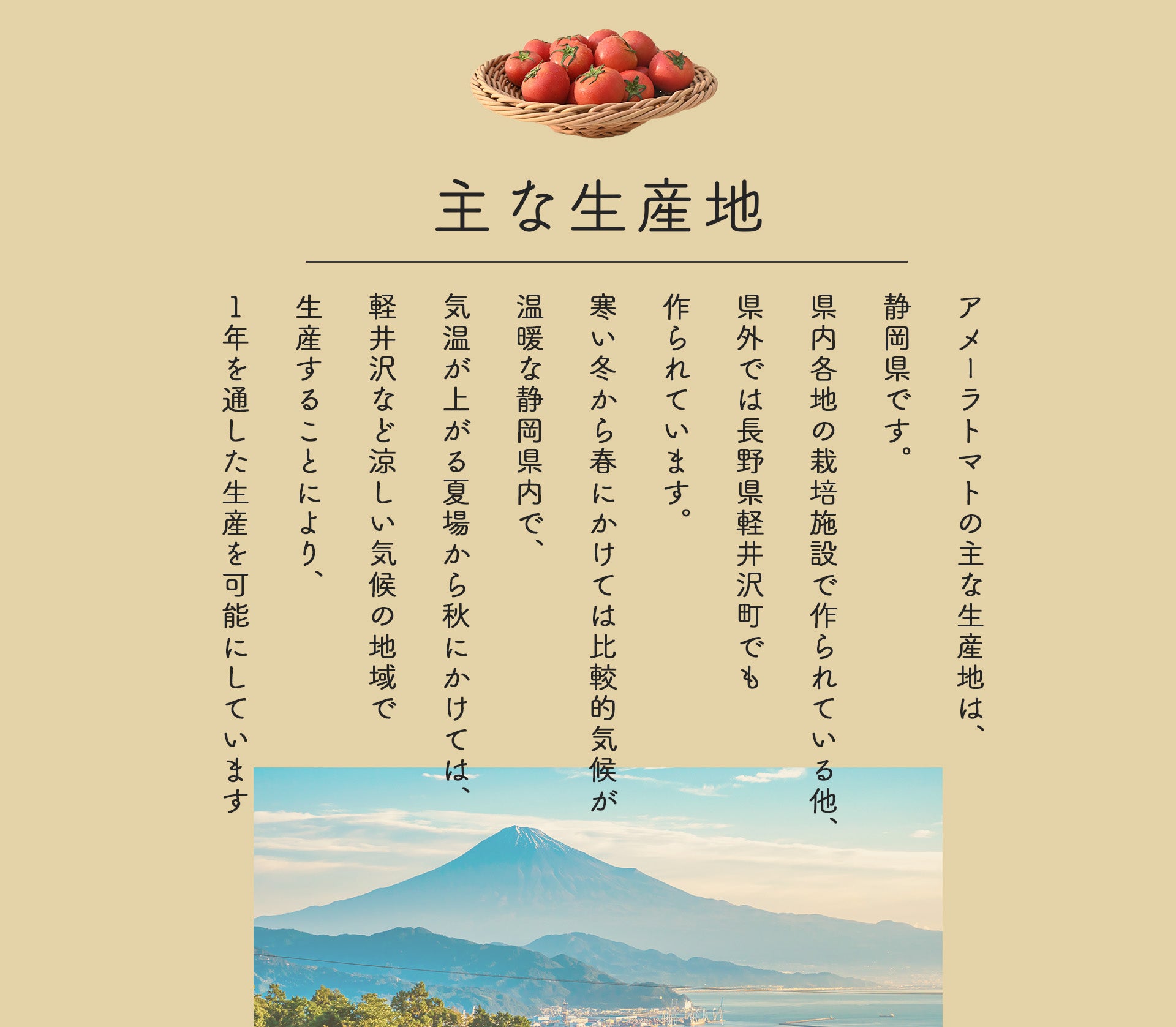 アメーラトマト Mサイズ 約1kg 林フルーツ – ハヤシフルーツ