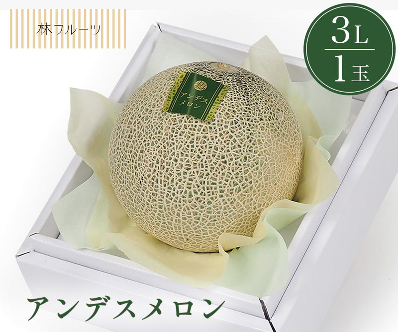 アンデスメロン 秀品 3Lサイズ 1玉