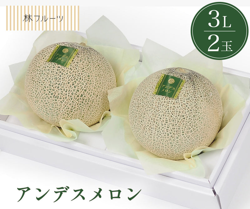 アンデスメロン 秀品 3Lサイズ 2玉 林フルーツ