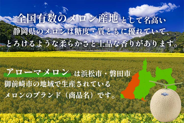 静岡産 アローママスクメロン【2玉 計約2.6kg】　