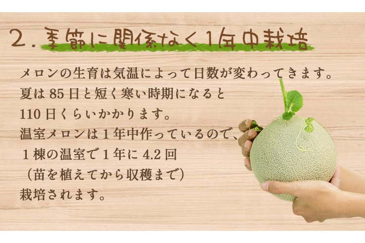 静岡産 アローママスクメロン【2玉 計約2.8kg】　