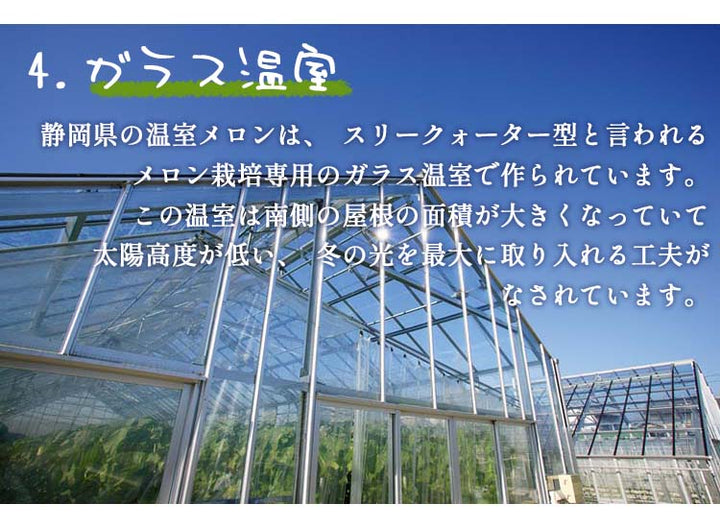 静岡産 アローママスクメロン【1玉計約1.3kg】　