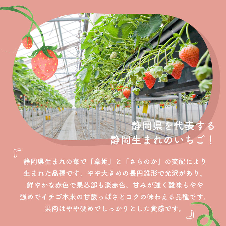 静岡県産 大粒紅ほっぺ苺 （9~12粒） 約600g