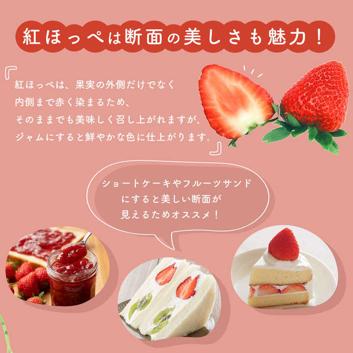 静岡県産 大粒紅ほっぺ苺 （9~12粒） 約600g