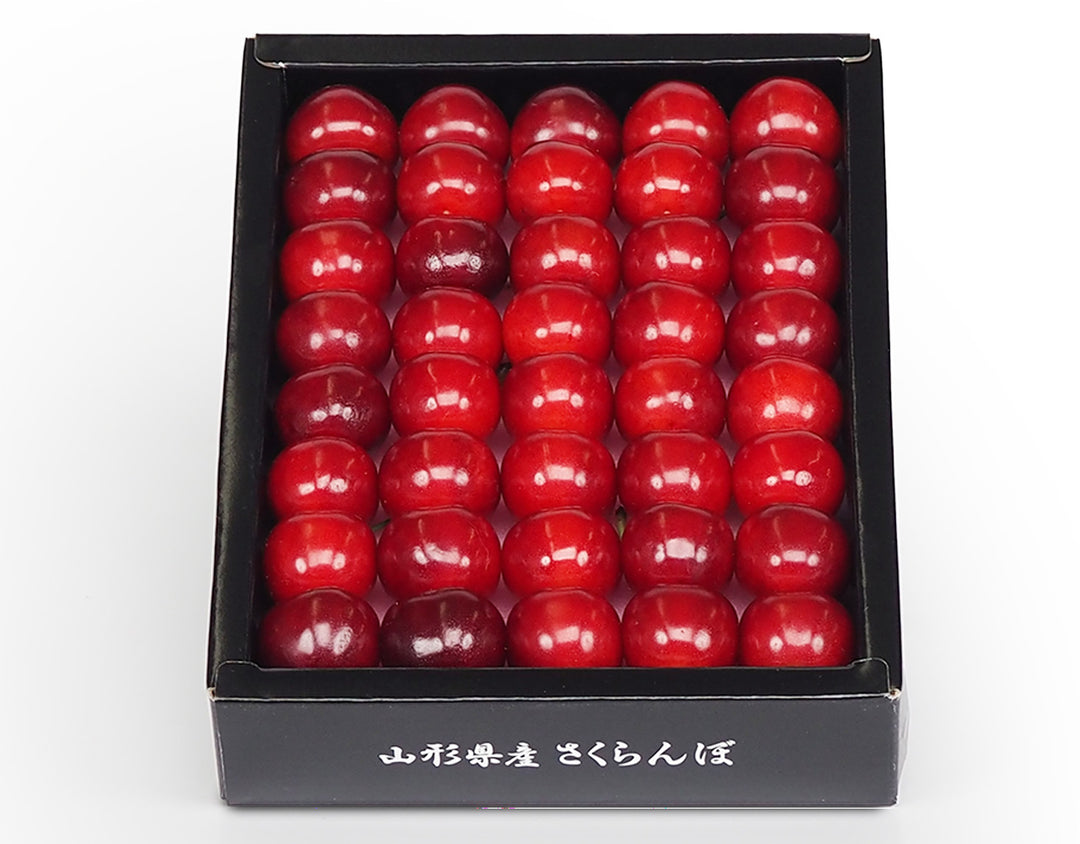 山形県産 さくらんぼ 紅秀峰 特秀品 化粧箱 約300g