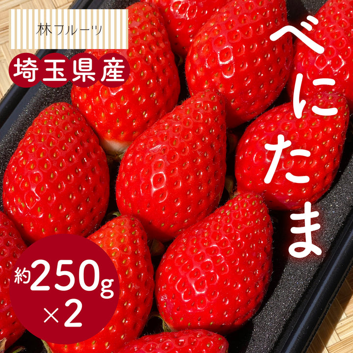 埼玉県産 べにたまいちご (5~15粒) 約250g×2ﾊﾟｯｸ