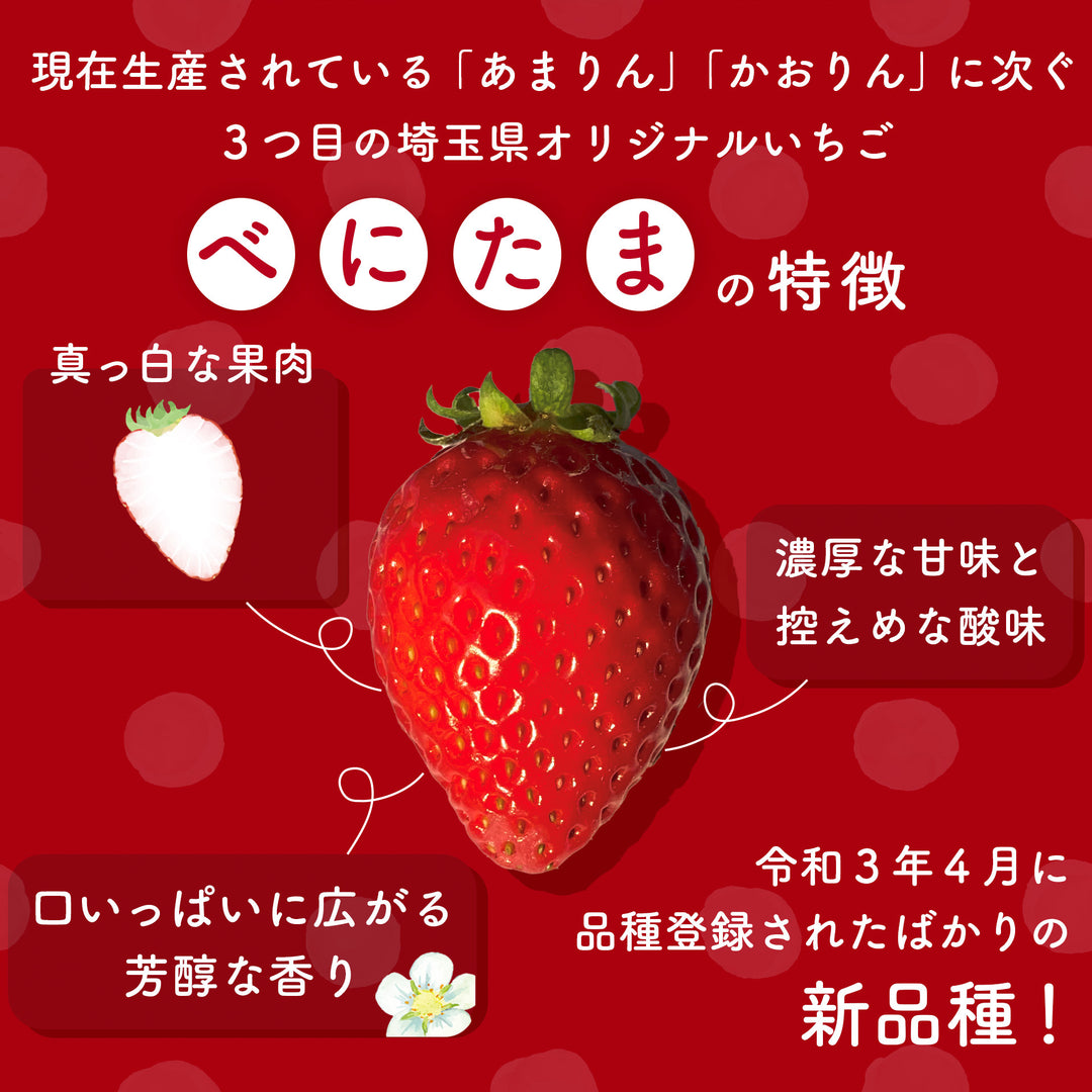 埼玉県産 べにたまいちご (5~15粒) 約250g×2ﾊﾟｯｸ