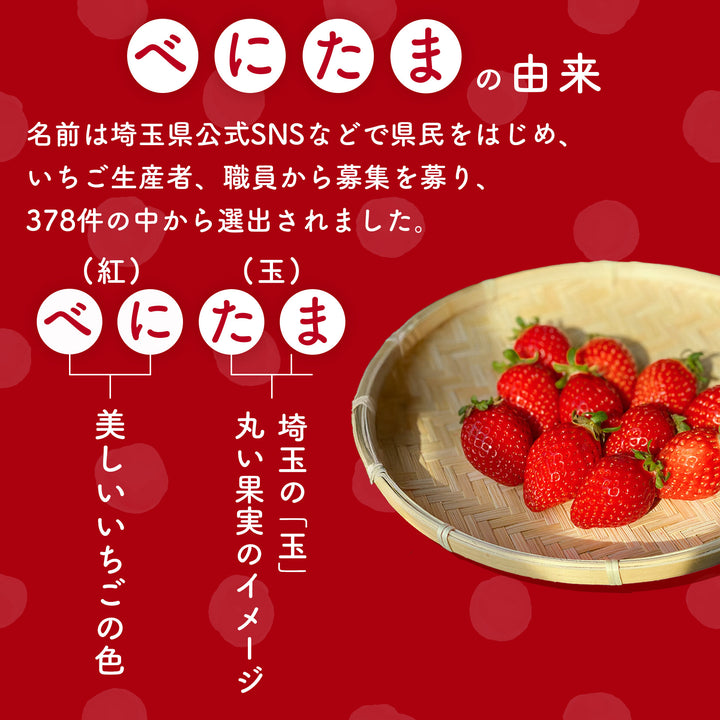 埼玉県産 べにたまいちご (5~15粒) 約250g×2ﾊﾟｯｸ