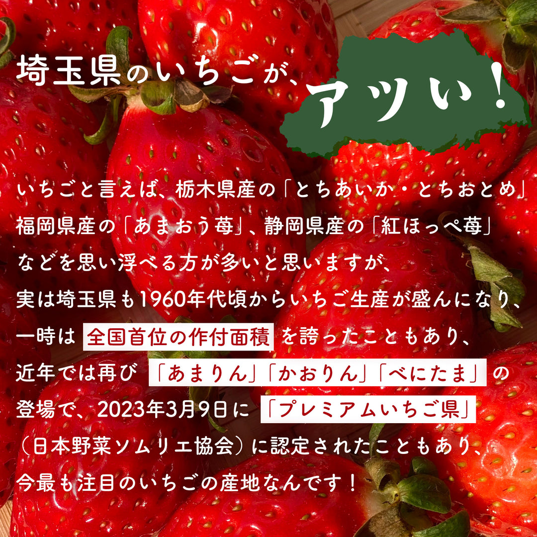 埼玉県産 べにたまいちご (5~15粒) 約250g×2ﾊﾟｯｸ