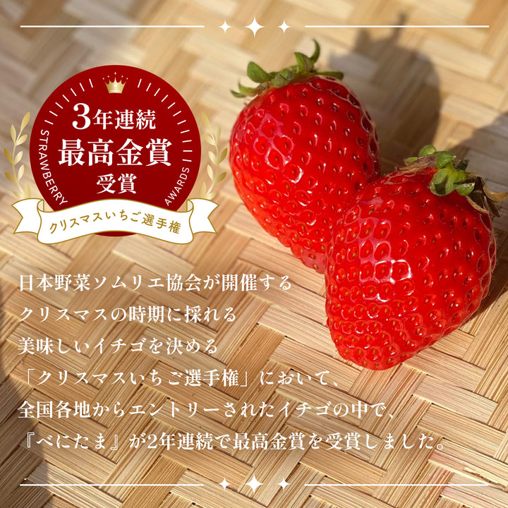 埼玉県産 べにたまいちご (5~15粒) 約250g×2ﾊﾟｯｸ
