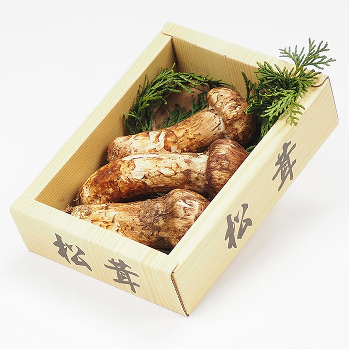 中国産  松茸 1パック 約100g