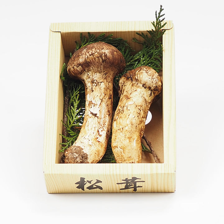 中国産  松茸 1パック 約100g