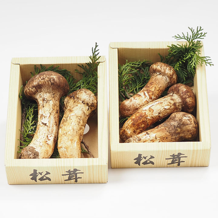 中国産  松茸 2パック 約200g