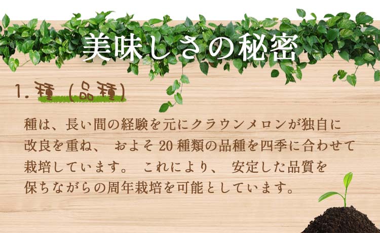 静岡産 クラウンマスクメロン【2玉計約2.4kg】