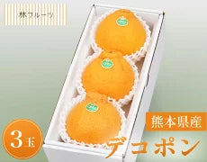 熊本県産 デコポン 化粧箱 3玉