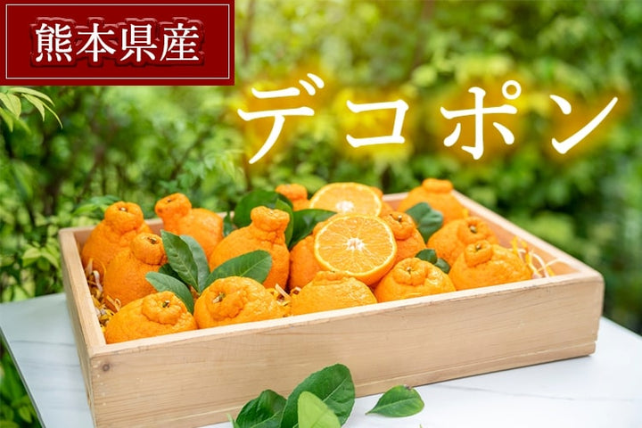 熊本県産 デコポン 化粧箱 6玉