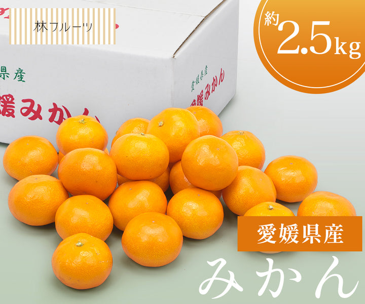 【お歳暮企画】愛媛県産 みかん 約2.5kg