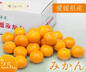 【お歳暮企画】愛媛県産 みかん 約2.5kg