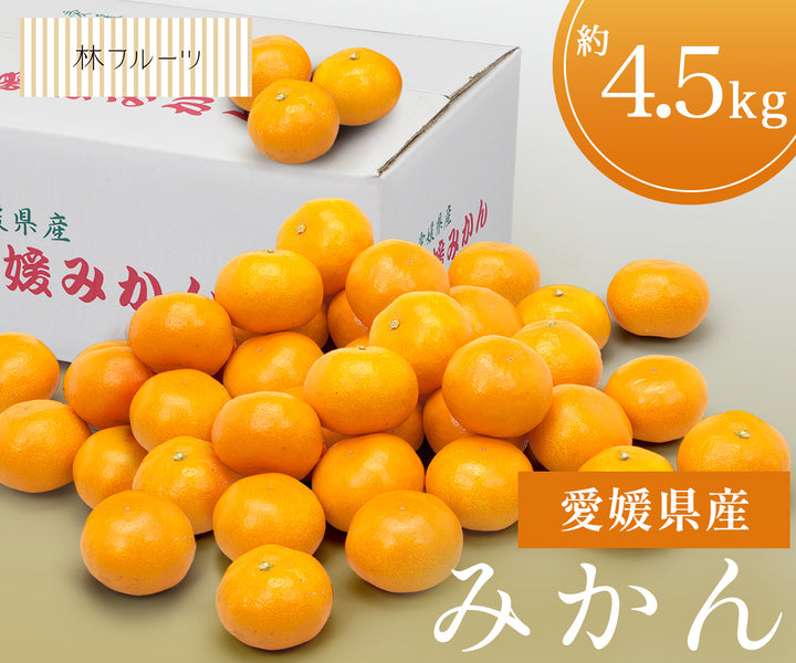 【お歳暮企画】愛媛県産産 みかん 約4.5kg