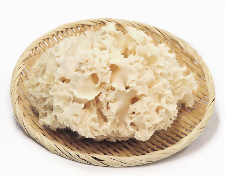 花びら茸 約600g 林フルーツ