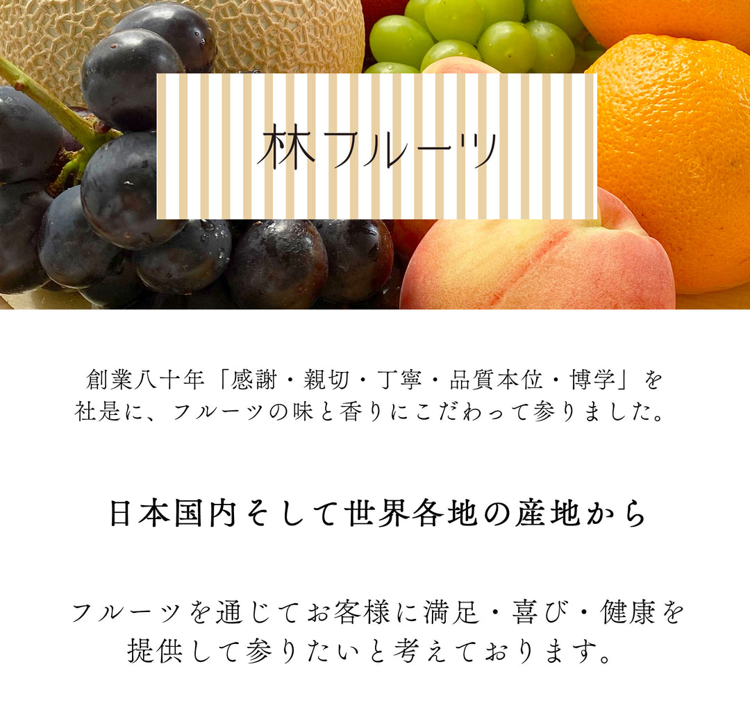 愛媛県産 せとか 秀品 化粧箱 6玉