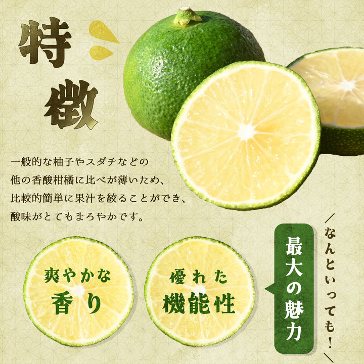 宮崎県産 へべす 約2kg