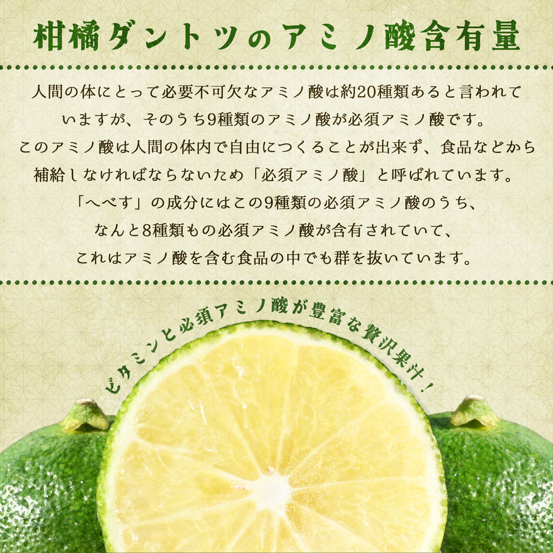 宮崎県産 へべす 約2kg