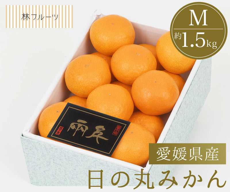 愛媛県産 日の丸みかん Mサイズ 化粧箱 15玉