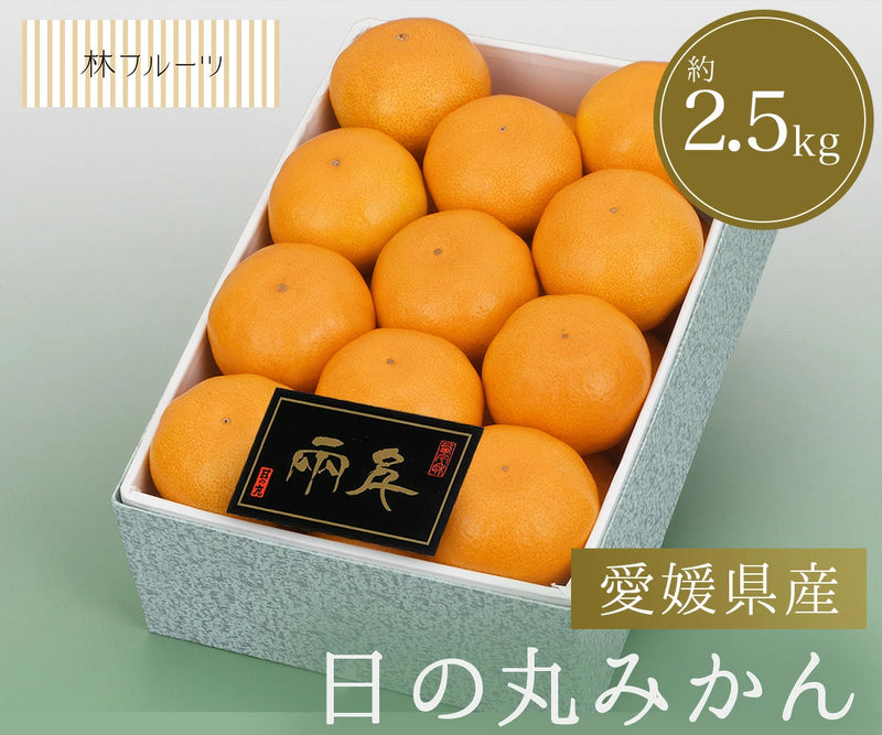 愛媛県産 日の丸みかん 化粧箱 21玉～25玉 約2.5kg