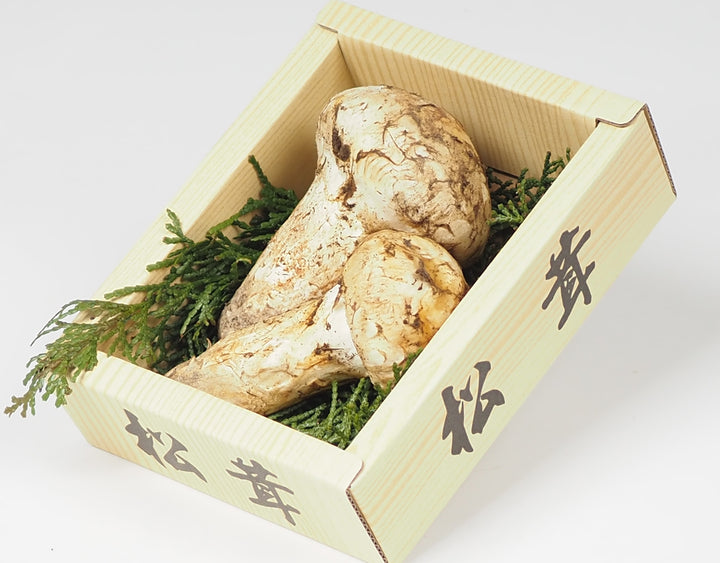 北米産 松茸 1パック 約100g