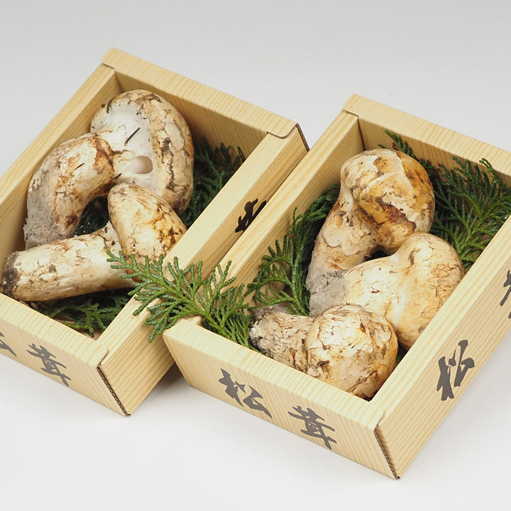 北米産 松茸 2パック 約200g