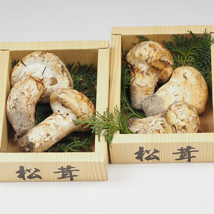北米産 松茸 2パック 約200g