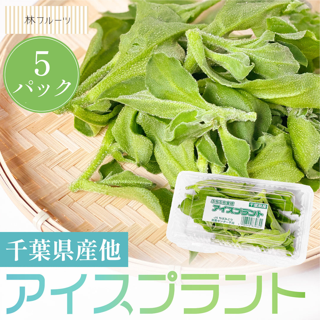 千葉県産他 アイスプラント 1箱(30パック入り)