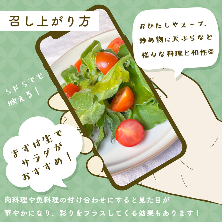 千葉県産他 アイスプラント 1箱(30パック入り)