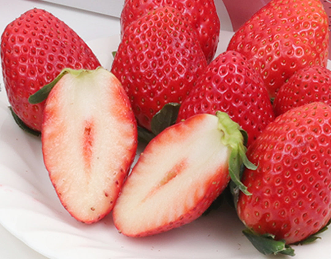 新山さんのスカイベリー（5～11粒）約300g