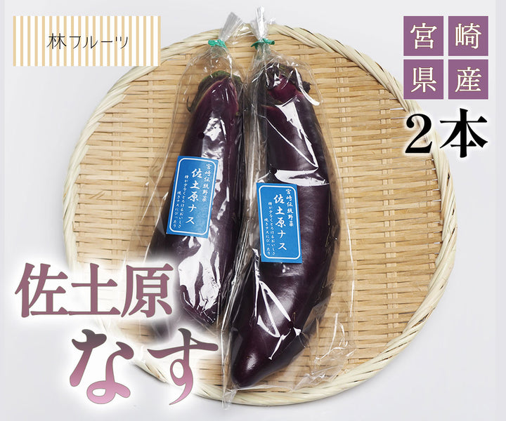宮崎県産 佐土原なす 2本