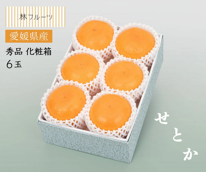 愛媛県産 せとか 秀品 化粧箱 6玉